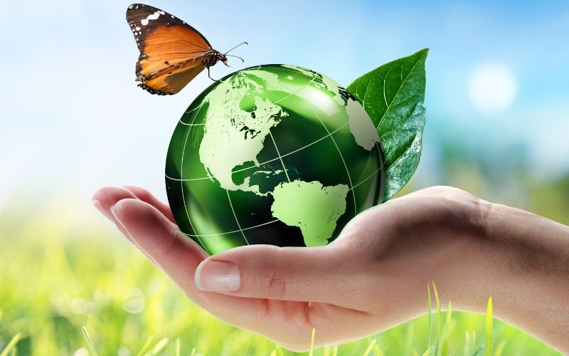 “Eco-Friendly Shopping: Simple Tips to Reduce Waste”